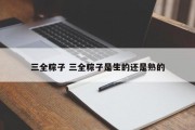 三全粽子 三全粽子是生的还是熟的