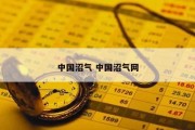 中国沼气 中国沼气网