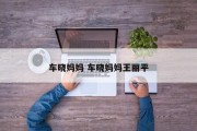 车晓妈妈 车晓妈妈王丽平