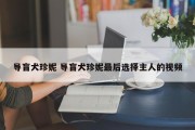 导盲犬珍妮 导盲犬珍妮最后选择主人的视频