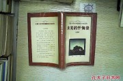 青春忏悔录，青春忏悔录高清视频