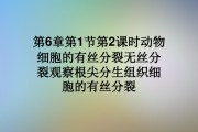 分生组织，分生组织图片