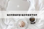 临汾市委组织部 临汾市宿青平双开