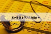 王小萍 王小萍人力资源部长
