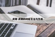 虎鞭 虎鞭的功能主治与作用