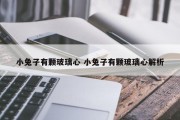 小兔子有颗玻璃心 小兔子有颗玻璃心解析