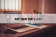 袁腾飞视频 袁腾飞 cctv