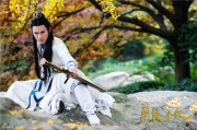 兰陵王妃杨千紫，兰陵王妃杨千紫小说